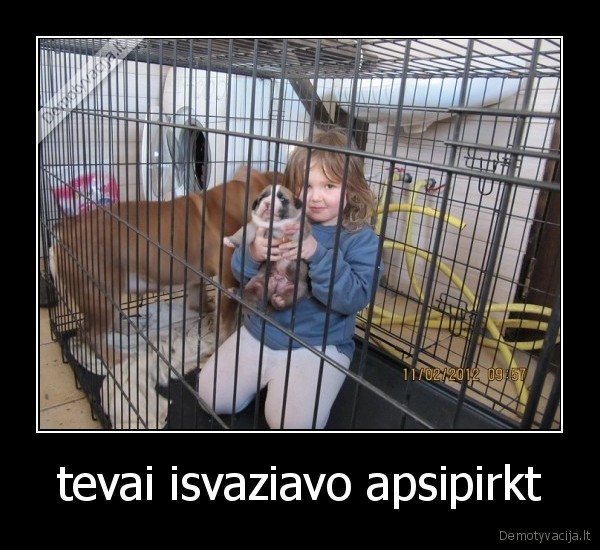 tevai isvaziavo apsipirkt