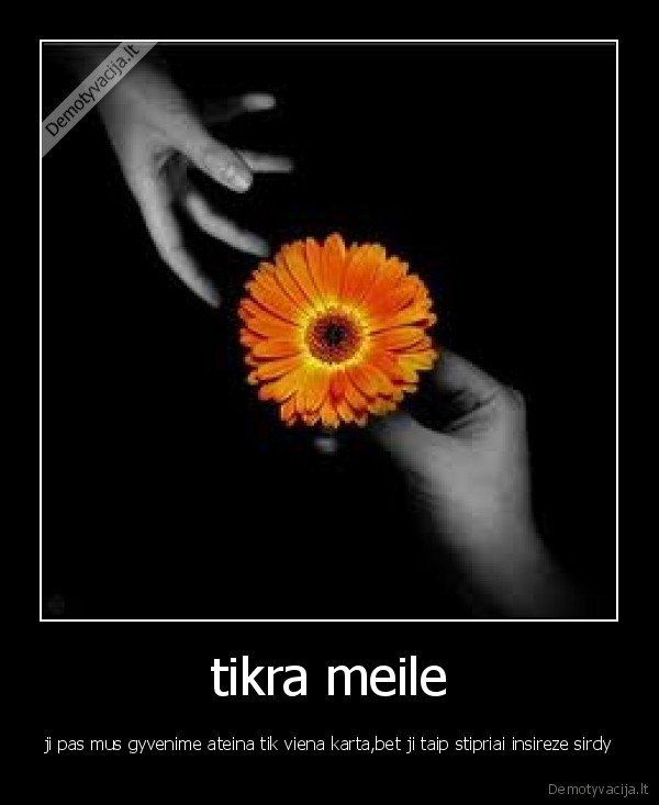 tikra meile