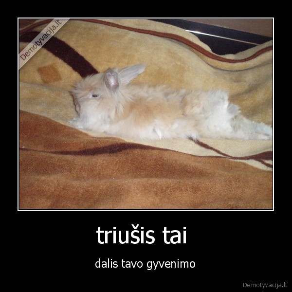triušis tai 