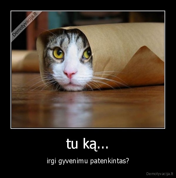 uzpiso, ble, viskas, nuo, zemes, iki, dangaus