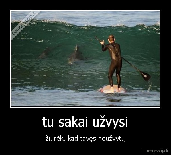 ryklys, zudikas