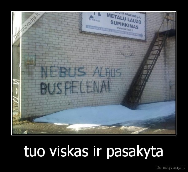 alus,bus, pelenai,nebus,kubiliau, alus, brangus