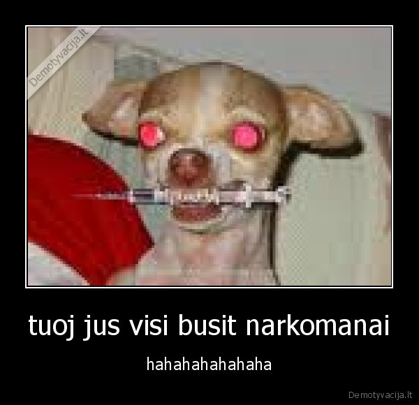 suo, narkomanas