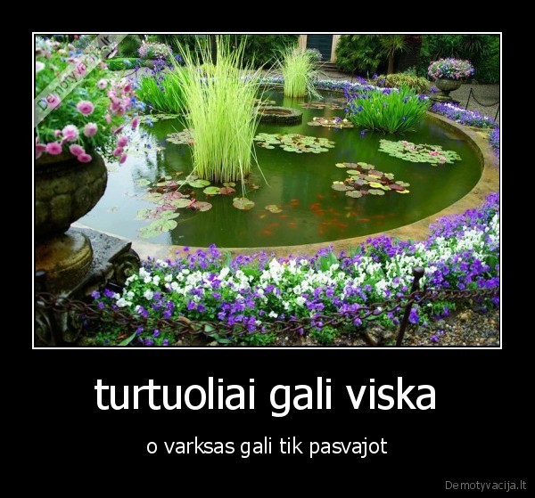 turtuoliai gali viska