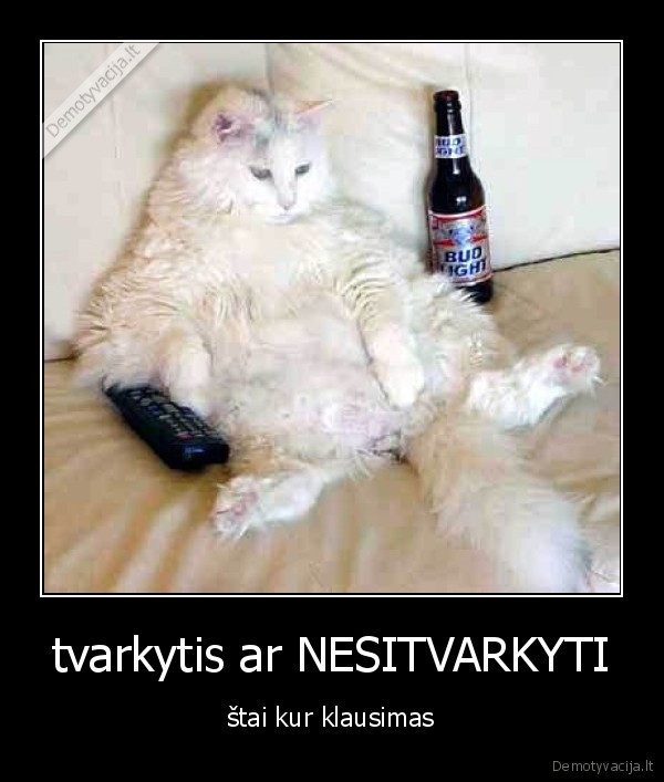 betvarke,namai,kate