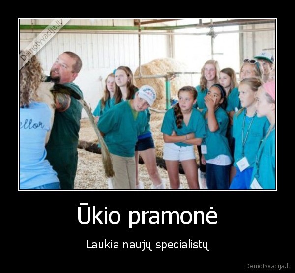nauji, specialistai,karves, seklinimas