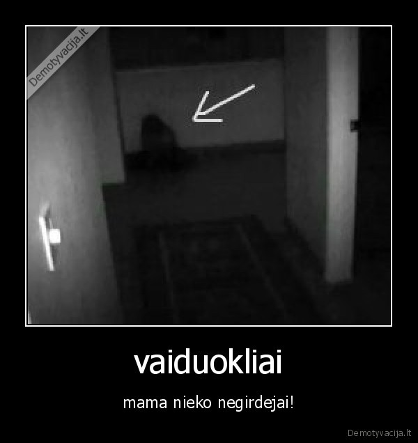 vaiduokliai