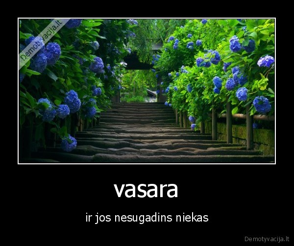 vasara
