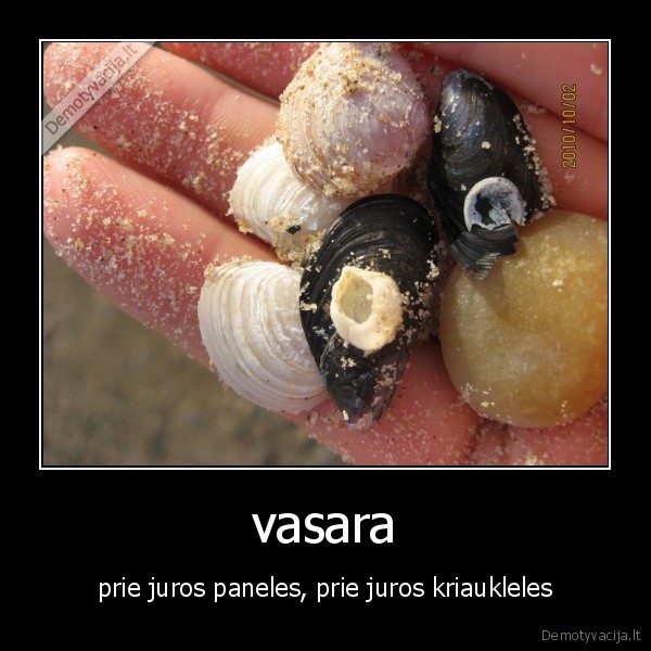 vasara