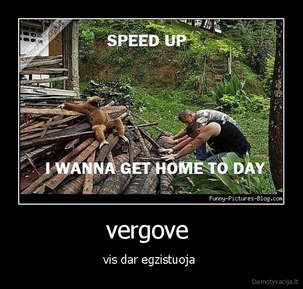 zmones, vergai, d
