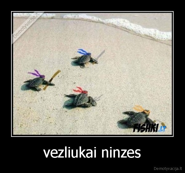 vezliukai ninzes