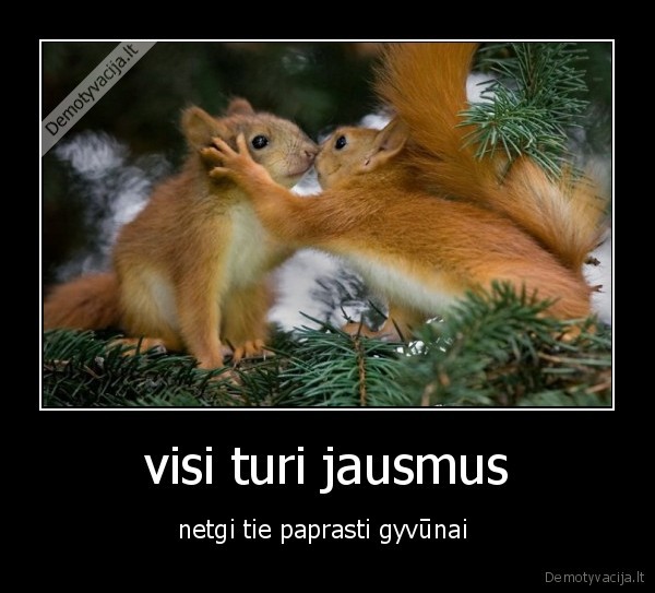 visi turi jausmus