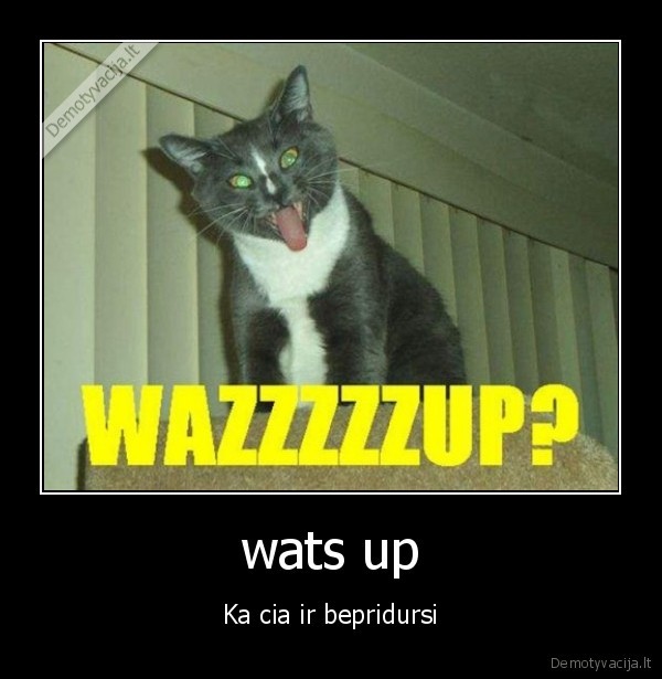 watsup, pramogos