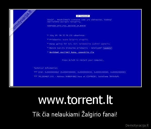 torrent,zalgiris,sportas,ban