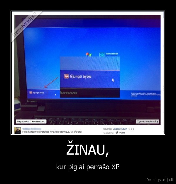 bybis, xp, windowsai, blogai