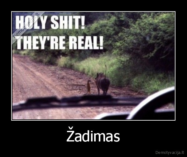 Žadimas