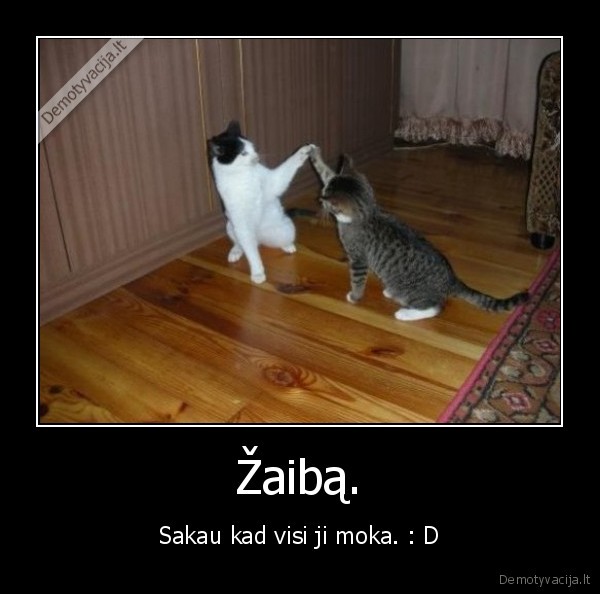 Žaibą.