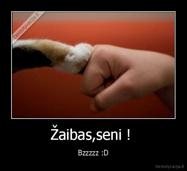 Žaibas,seni ! 