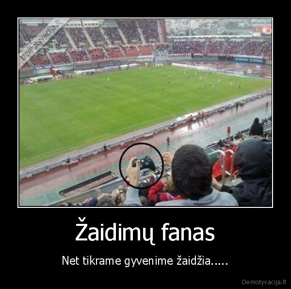 Žaidimų fanas