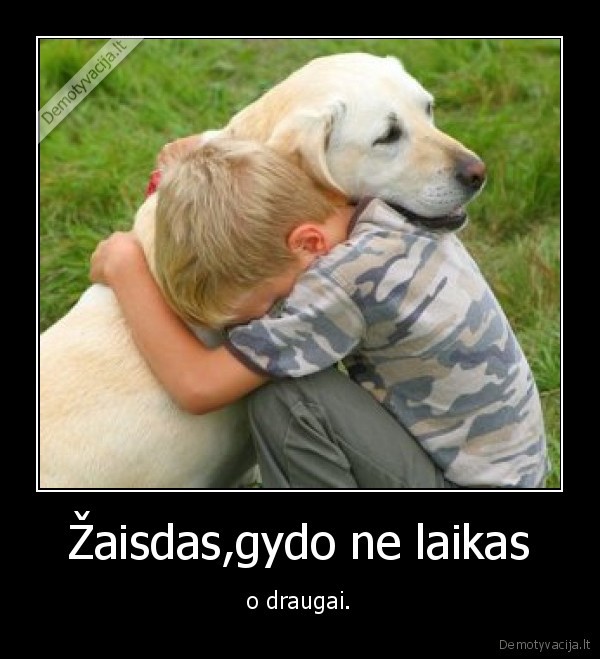 zaisdos,gydo,draugai