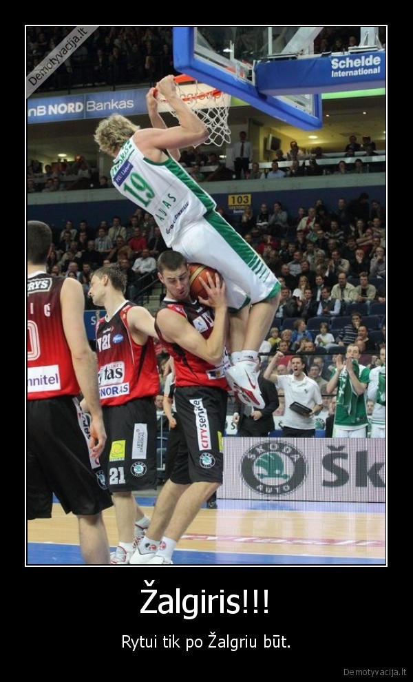 krepshinis, zalgiris, cool
