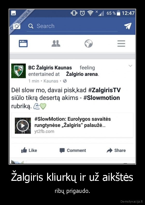 zalgiris,socialine, medija,fesibukas