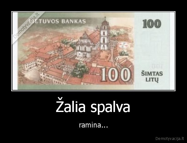 8556565656
