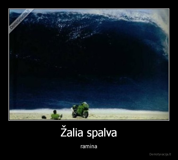 zalia,ramina,cunamis,chill,cilas