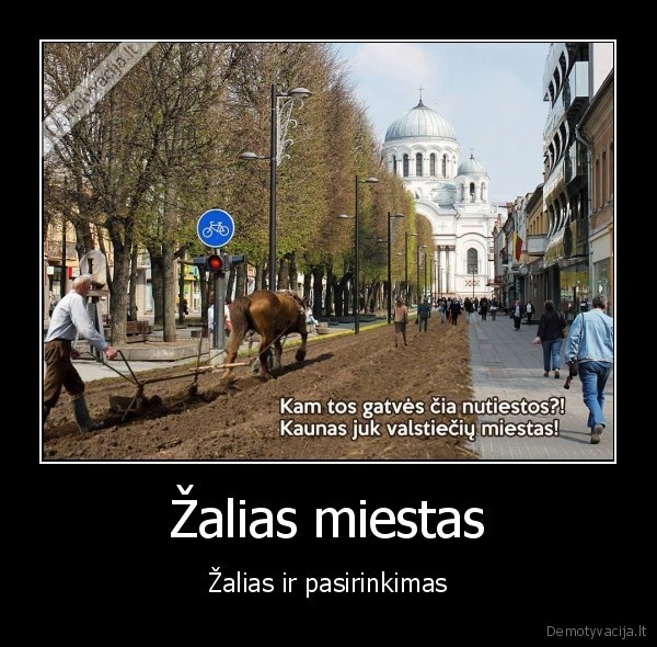 kauno, gatves,valstieciai,balsavimas