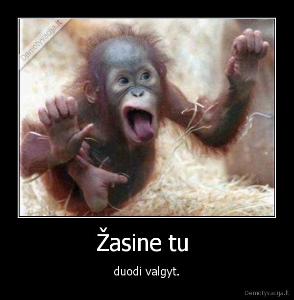 Žasine tu 