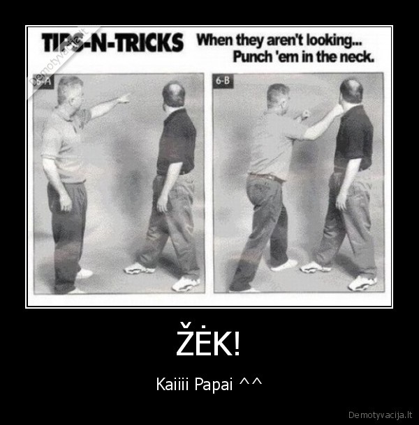 ŽĖK!
