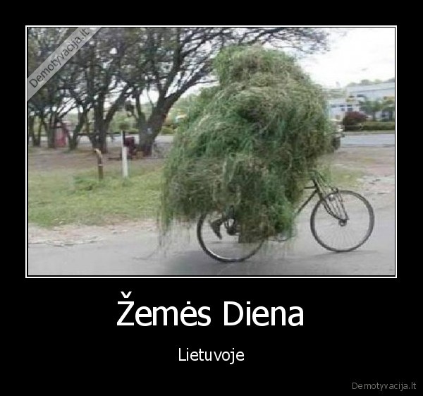 lietuva,gyvenimas,zemes, diena