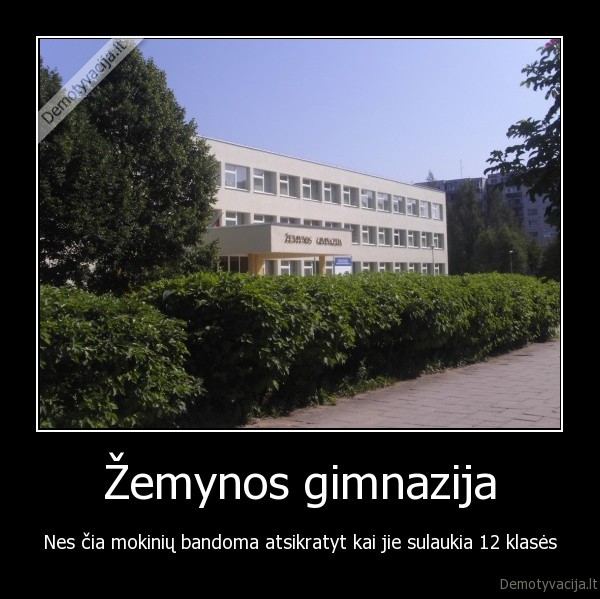 Žemynos gimnazija