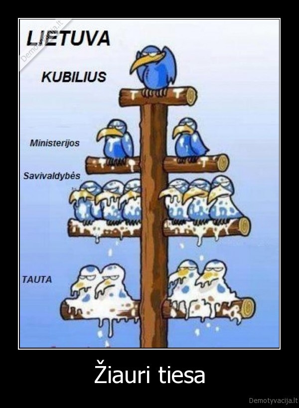 Žiauri tiesa