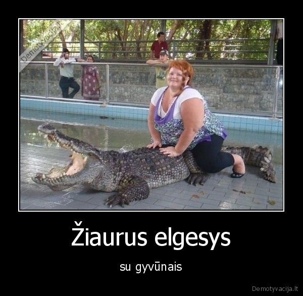 krokodilas,begemotas