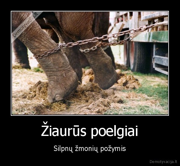 poelgiai