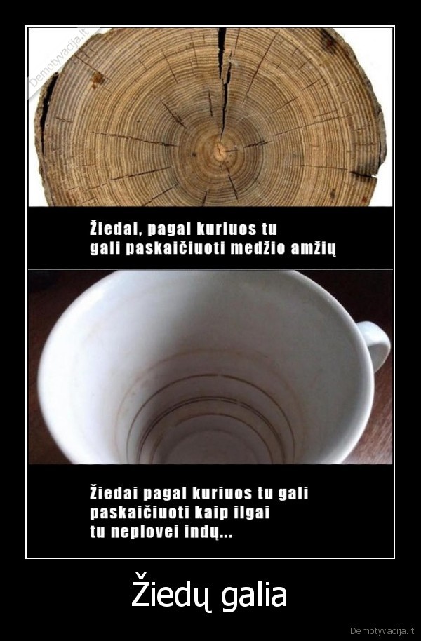 ziedai,amzius