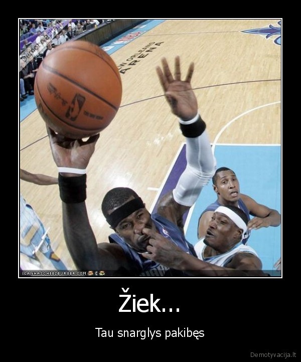 snarglys,nba