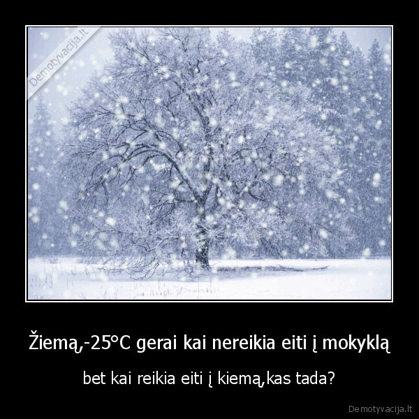 myli,nemyli,paprasta,issirinkt
