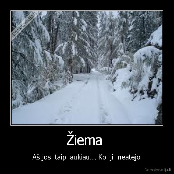 gamta