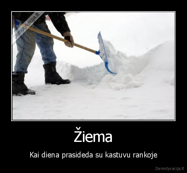 Žiema