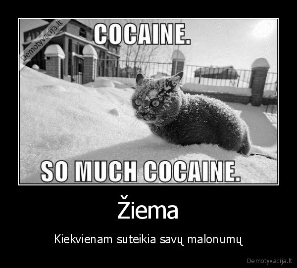 Žiema