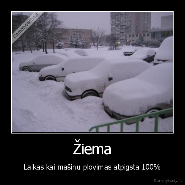 Žiema
