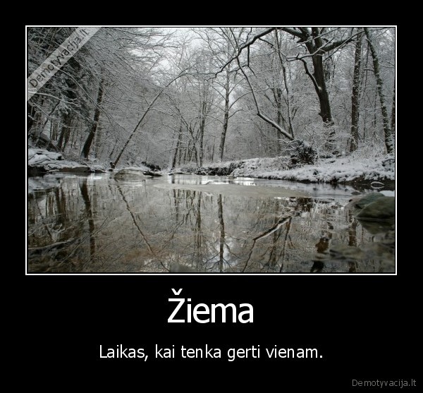 Žiema