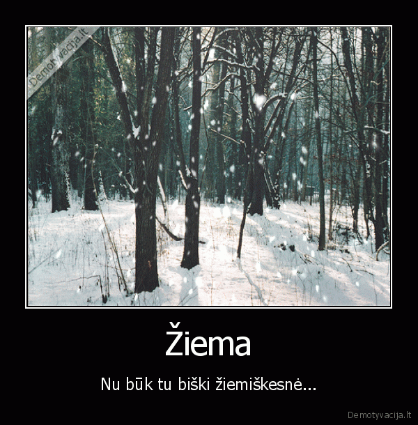 sniegas,ziema