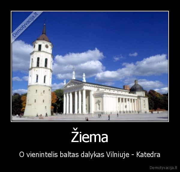sniegas,nera,ziema,padare, dingouuu,silke, su, svogunais
