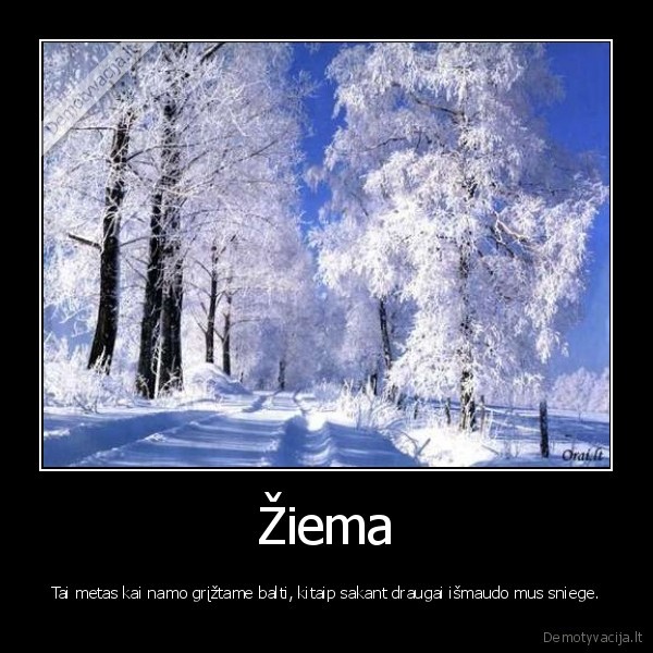 Žiema
