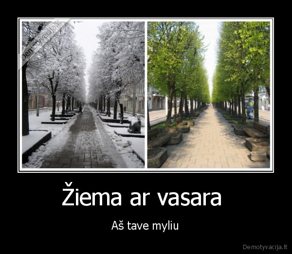 Žiema ar vasara 