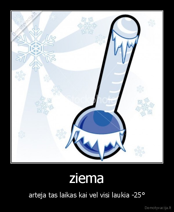 ziema