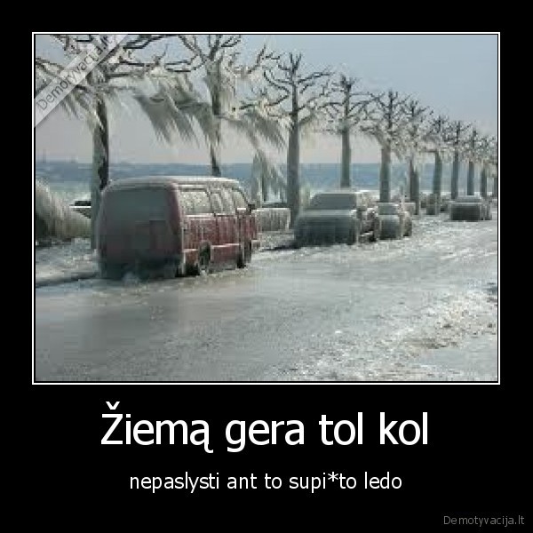 Žiemą gera tol kol